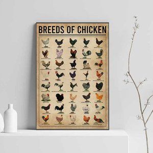 Breeds Of Chicken Satin Poster No Frame 12" x 18"